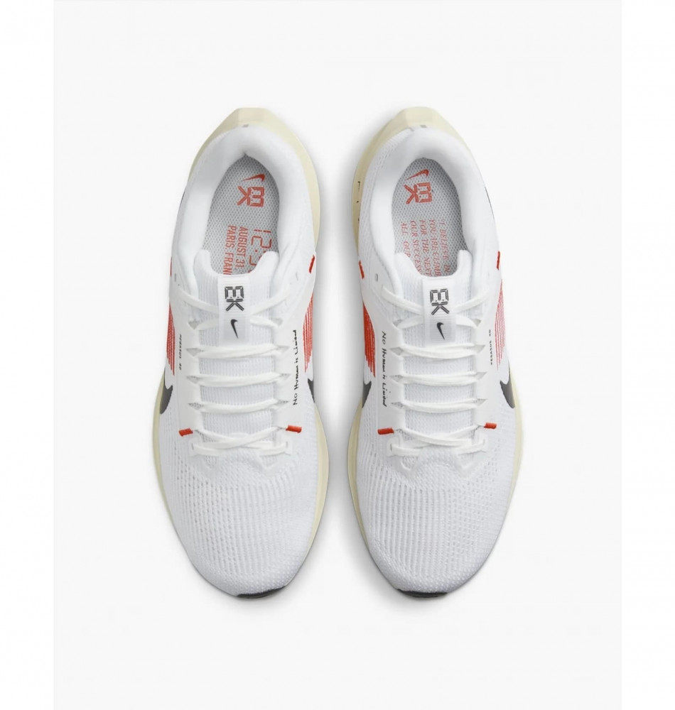 Кроссовки Nike Pegasus 40 EK FJ0686-100_image_8