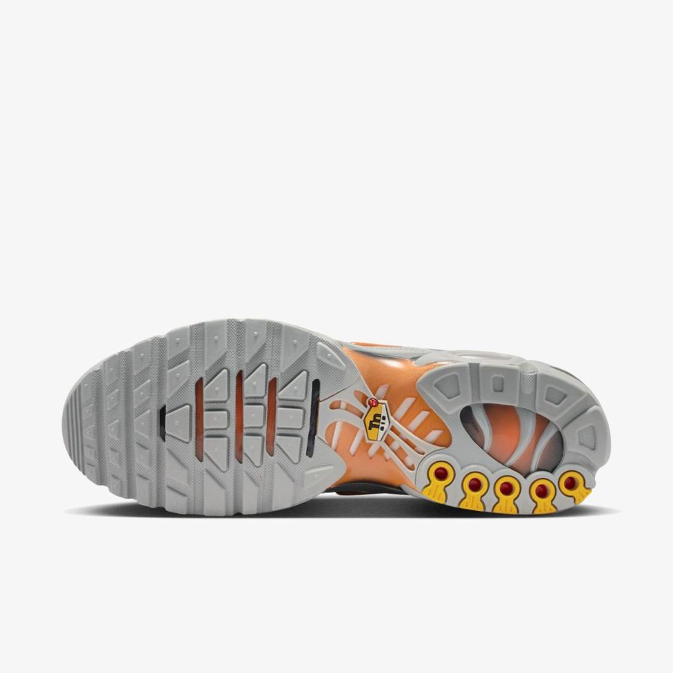 Чоловічі кросівки NIKE AIR MAX PLUS DM0032-037