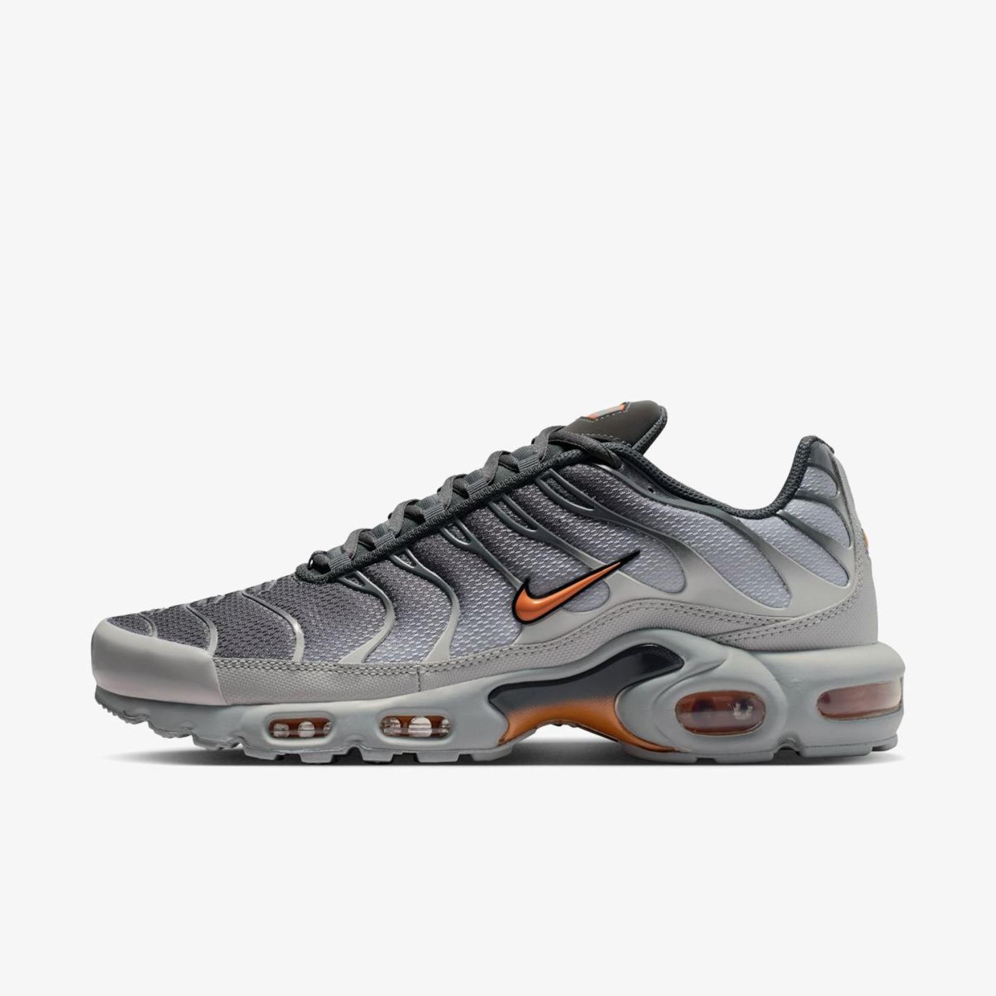 Чоловічі кросівки NIKE AIR MAX PLUS DM0032-037