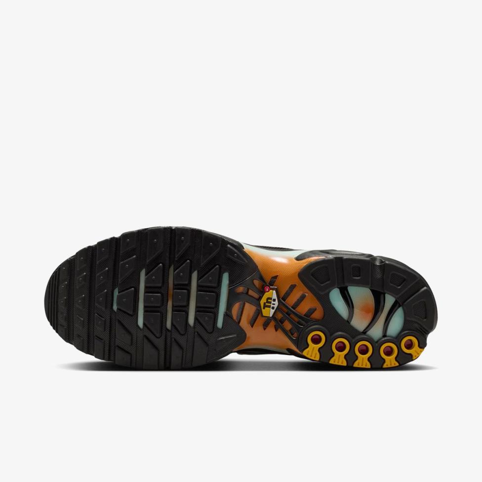 Чоловічі кросівки NIKE AIR MAX PLUS OG PRM IQ0168-900