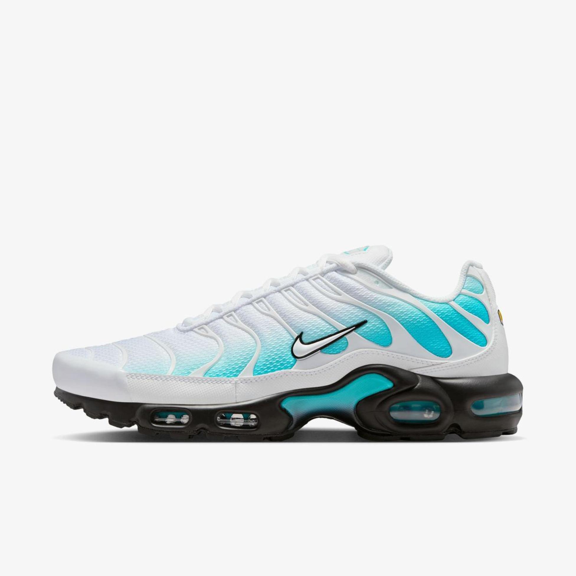 Чоловічі кросівки NIKE AIR MAX PLUS IU7539-345