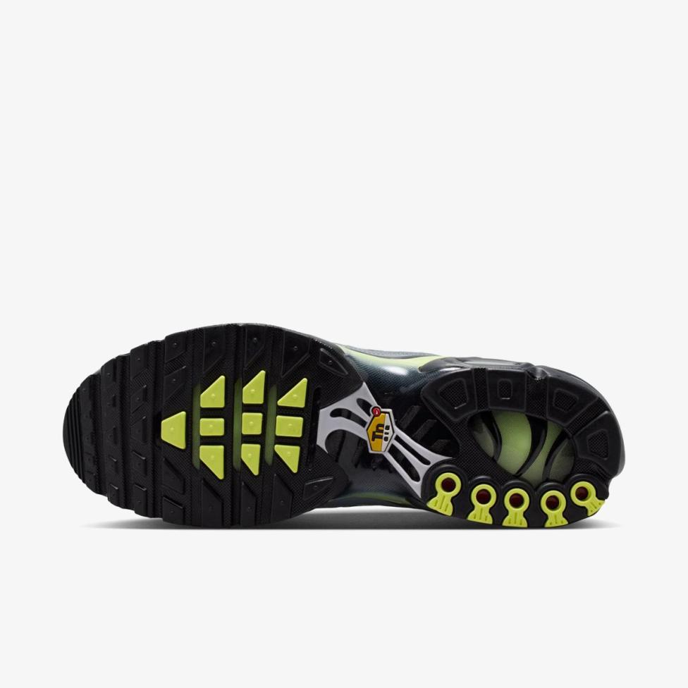 Чоловічі кросівки NIKE AIR MAX PLUS IR1999-065