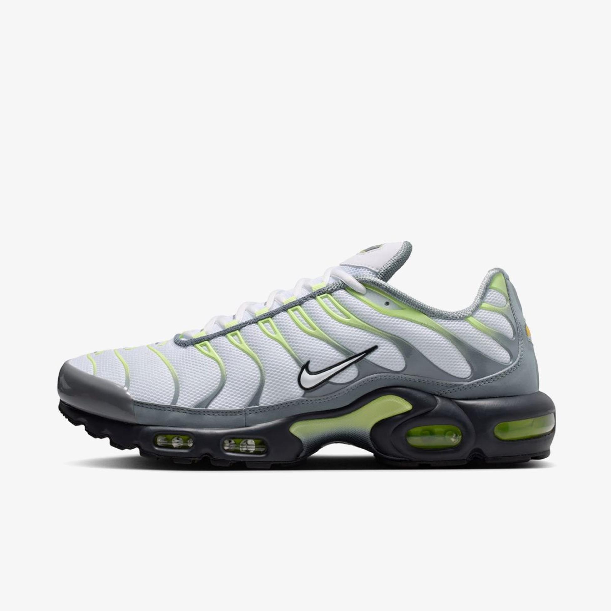 Чоловічі кросівки NIKE AIR MAX PLUS IR1999-065