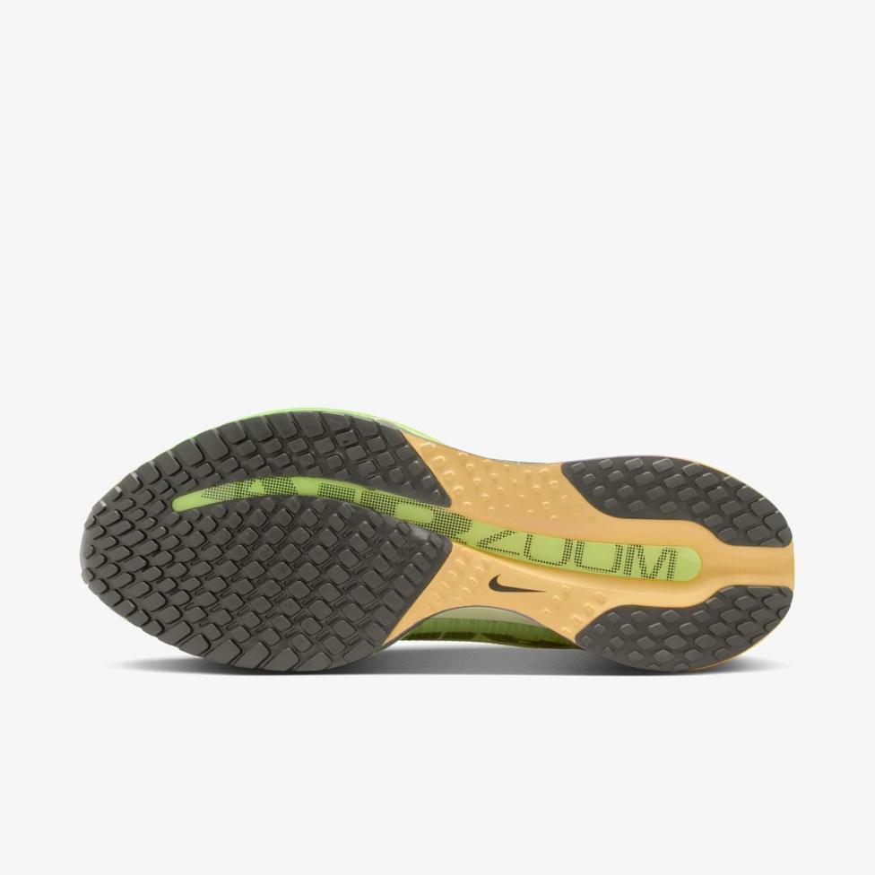 Чоловічі кросівки NIKE PEGASUS PREMIUM HQ2592-701