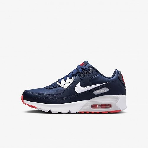Дитячі кросівки Nike Air Max 90 LTR (GS) DV3607-400