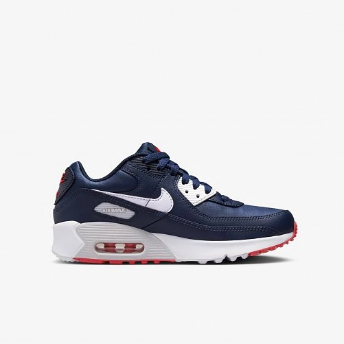 Дитячі кросівки Nike Air Max 90 LTR (GS) DV3607-400